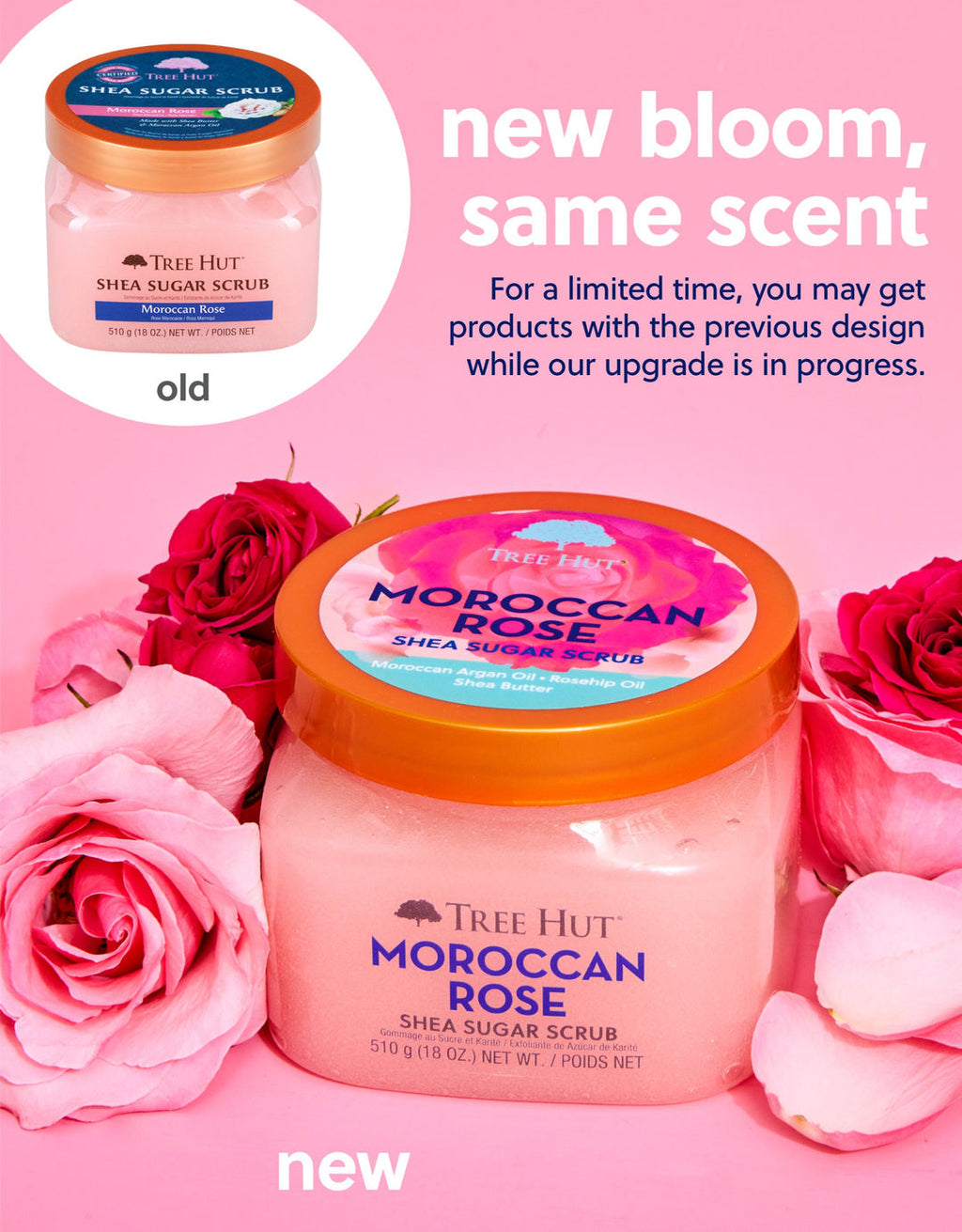 shea sugar scrub Moroccan rose - Exfoliate & Indulge 2 Pack